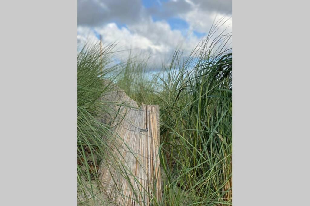 Ferienwohnung am Südstrand auf Fehmarn, Hafenblick Exterior foto